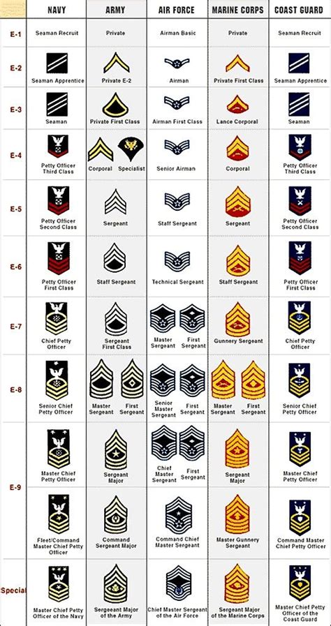 Enlisted Military Insignia Freedom And Liberty In The United States