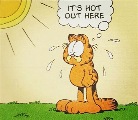 Its Hot Out Here Orange Cat Garfield Its Hot