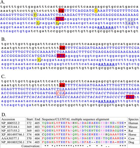 Comparative Sequence Analysis 3′ Region Of Canine S Antigen Gene A
