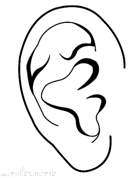 Free coloring sheets to print and download. Perfect Ear Coloring Pages : Kids Play Color