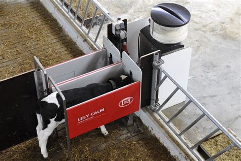 High Tech Feeders Free Dairy Farmers