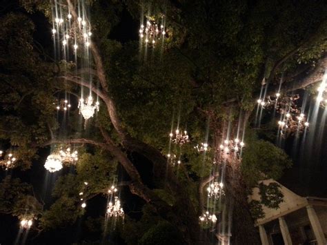 The upscale appeal of each piece will have your home dazzling with an exclusive style. Chandelier Tree - Silver Lake - Los Angeles, CA ...