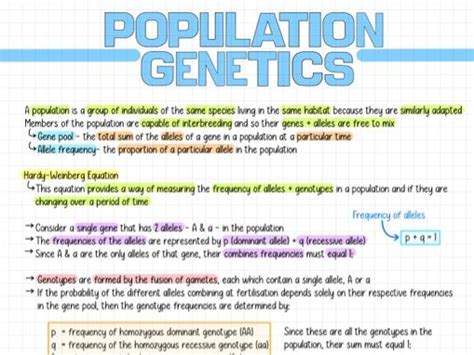 A Level Biology Notes Topic Population Genetics Ccea A