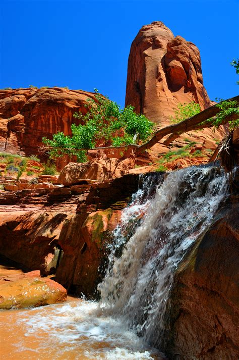 Coyote Gulch Your Hike Guide