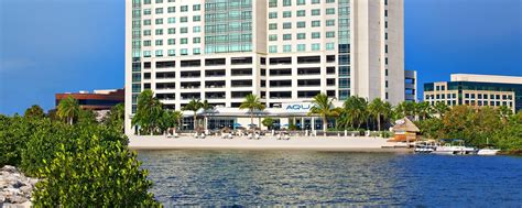 Pet-Friendly Hotel in Florida with Kitchenettes | The Westin Tampa Bay