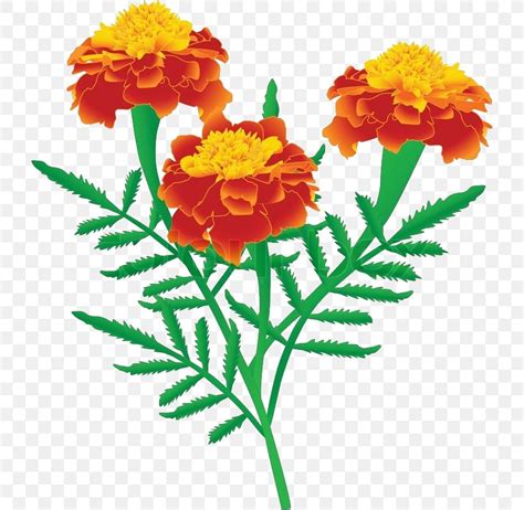 Free Planting Marigolds Cliparts Download Free Planting Marigolds