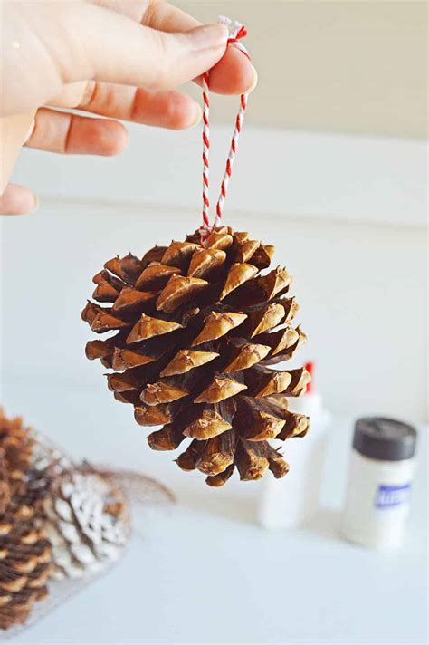 Diy Glitter Pine Cone Ornaments Stylish Cravings