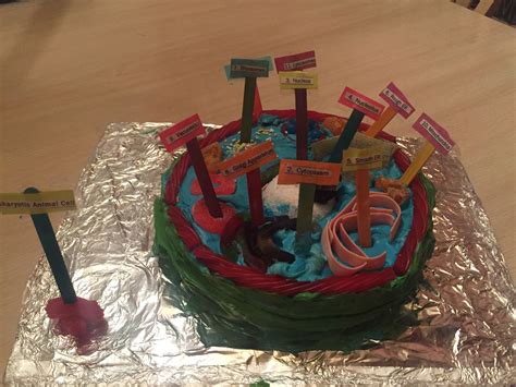 We did not find results for: ANIMAL CELL CAKE | Cake, Birthday candles, Food