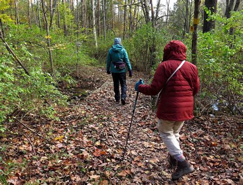 Saratoga Woods And Waterways Ed Leads The Way