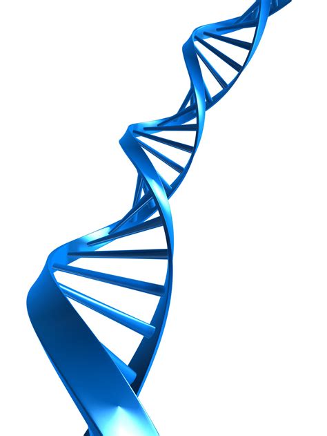 Dna Helix Clipart Free Download On Clipartmag
