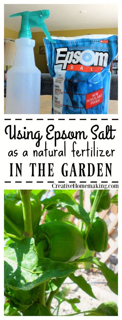 Because of this, it can be used as a natural alternative in many agricultural and health applying epsom salts as a general fertilizer will boost your soil magnesium and sulfur where needed. Using Epsom Salt as a Natural Fertilizer in the Garden ...