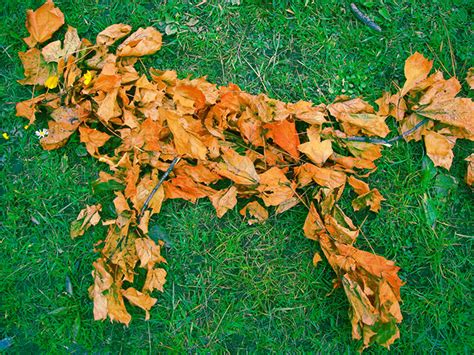 Осенние поделки: идеи для узоров на земле из листьев - YouLoveIt.ru