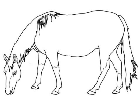 Coloring Pages Of Paint Horses