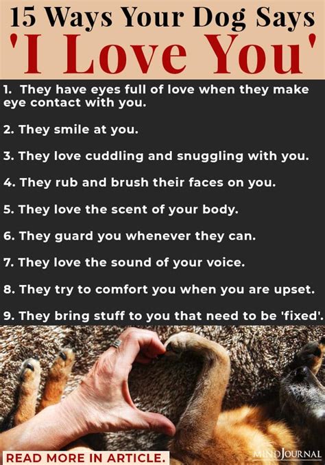 How Do You Know Your Dog Loves You