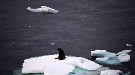 antarktis gletscher schmelzen aber nicht nur wegen des klimawandels welt news