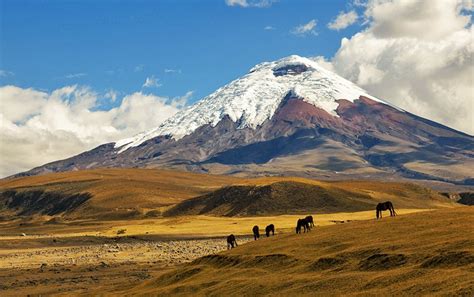 10 Top Rated Tourist Attractions In Ecuador Planetware