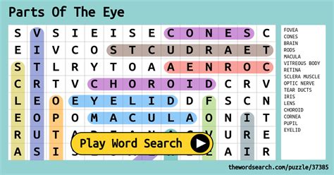 Parts Of The Eye Word Search