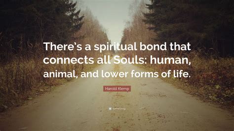 Harold Klemp Quote Theres A Spiritual Bond That Connects All Souls