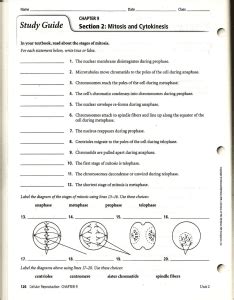 Cell division worksheet answer key cell cycle mitosis reinforcement worksheet 1. Cell Cycle - studyres.com