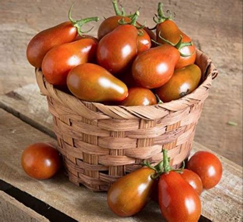 Tomato Grusha Chorna