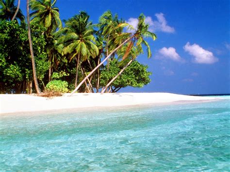 Download World Visits Tropical Island Beach Wallpaper Re By Rjones24