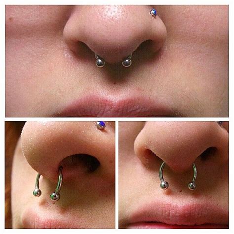 steve olin — i m not the greatest and i will never claim to be septum piercing jewelry
