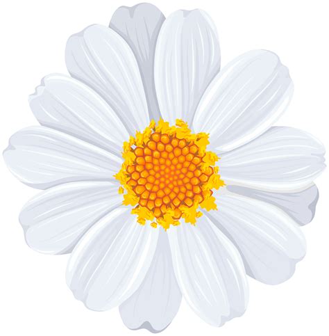 White Daisy Clipart Clip Art Of Daisy Clipart 4382 — Clipartwork Clip