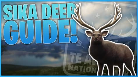 Sika Deer Hotspots Zone Times And More Thehunter Call Of The Wild