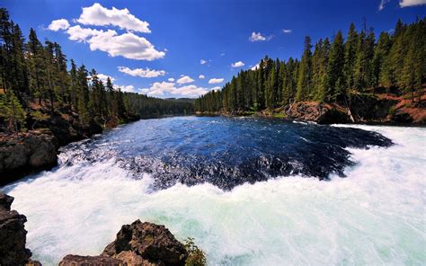 River Yellowstone Yellowstone National Park Wallpapers And Images
