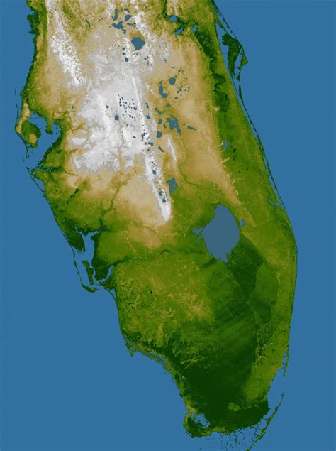 Florida Elevation Map Florida Florida Elevation Map P