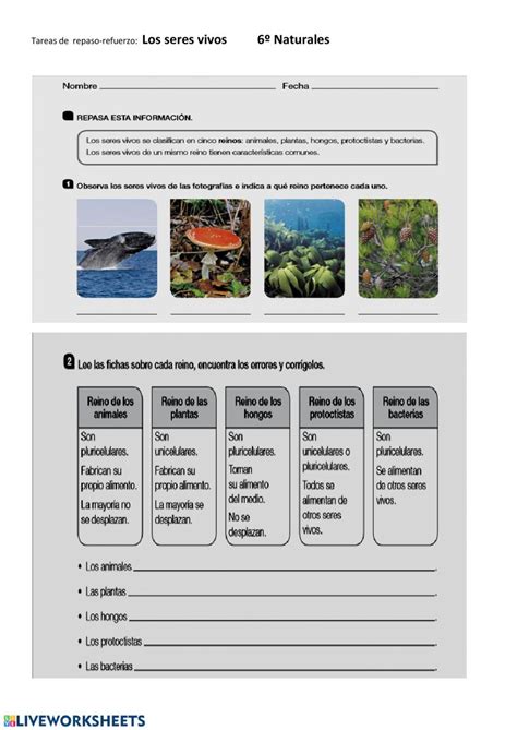 Tarea 2 Refuerzo Repaso Naturales 6º Primaria Ficha Interactiva