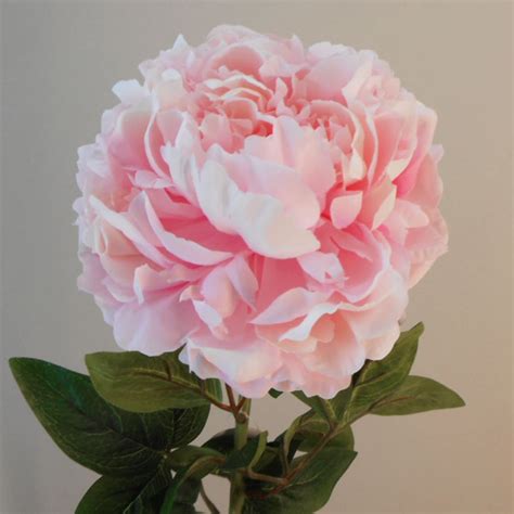 Large Artificial Peony Pale Pink Artificial Flowers