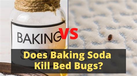 Does Baking Soda Kill Bed Bugs The Real Truth Youtube