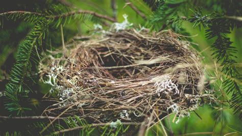 Making Your Empty Nest Prime Time Mission Wealth
