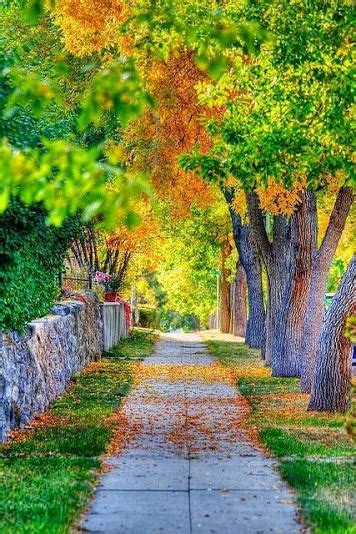 Tons of awesome nature background hd to download for free. Autumn Sidewalk | Photoshop backgrounds, Studio background ...