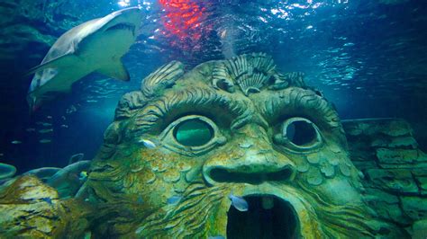 The Best Hotels Closest To Sea Life Sydney Aquarium In