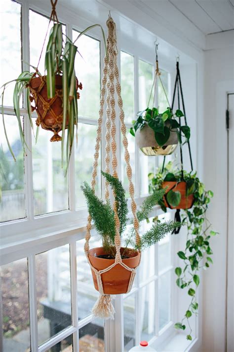 Kokedama plant hangers are a great addition to indoor and outdoor gardens. Our Garden / Before Photos | Plant hanger, Plants, Garden