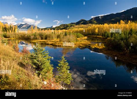 Elk Valley Bc Hi Res Stock Photography And Images Alamy