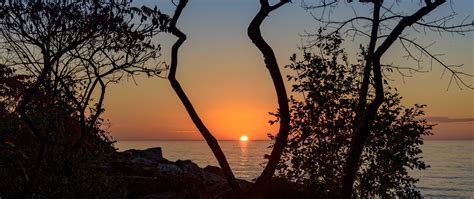 Download Wallpaper 2560x1080 Sea Sunset Branches Sun Horizon Dual