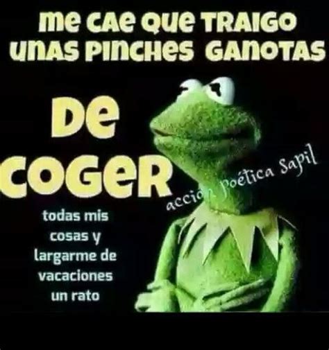 Frases de buenas noches amorosas. Vacaciones | Frases sabias, Memes divertidos, Chistes ...