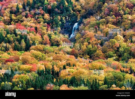 Beulach Ban Falls And Autumn Foliage Cape Breton Highlands National