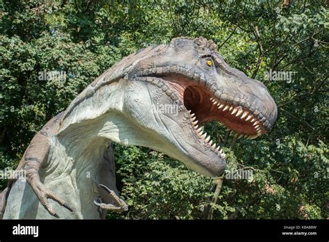 Tyrannosaurus Rex In Der Wilden Natur Stockfotografie Alamy