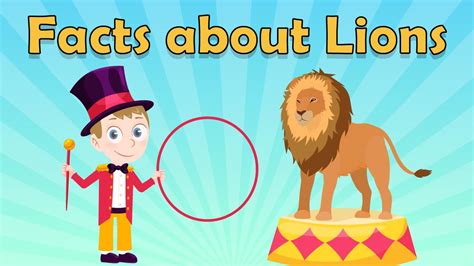 Facts About Lions For Kids Lion Facts For Kids Fun Facts About