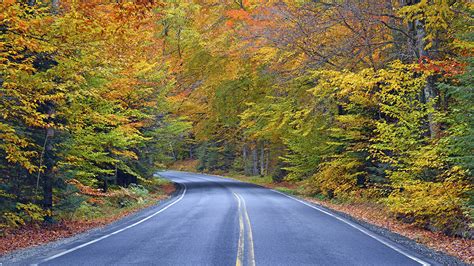 15 Scenic Fall Color Drives To Experience By Rv Foremost Insurance Group