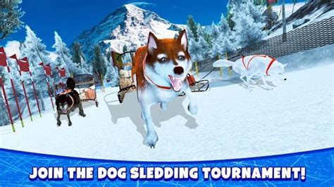 🐕husky Snow Dog Sledding Sim 3d Offered By Virtual Animals World
