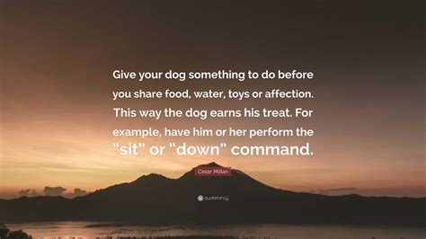 Cesar Millan Quote “give Your Dog Something To Do Before You Share