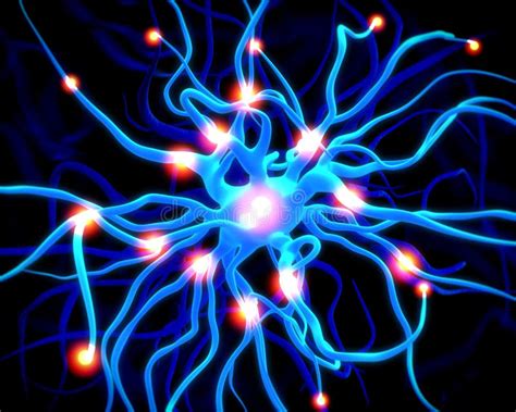 Cellule Nervose O Neuroni Illustrazione Di Stock Illustrazione Di