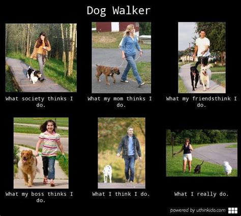dog walker  people        pet sitter memes pinterest dog dog