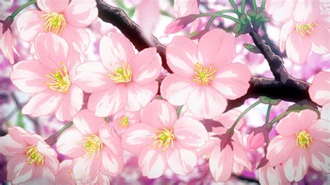 Tumblr Anime Flower Anime Scenery Wallpaper Anime Cherry Blossom