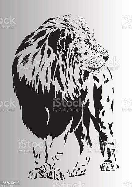 Ilustrasi Singa Tua Dalam Hitam Dan Putih Ilustrasi Stok Unduh Gambar